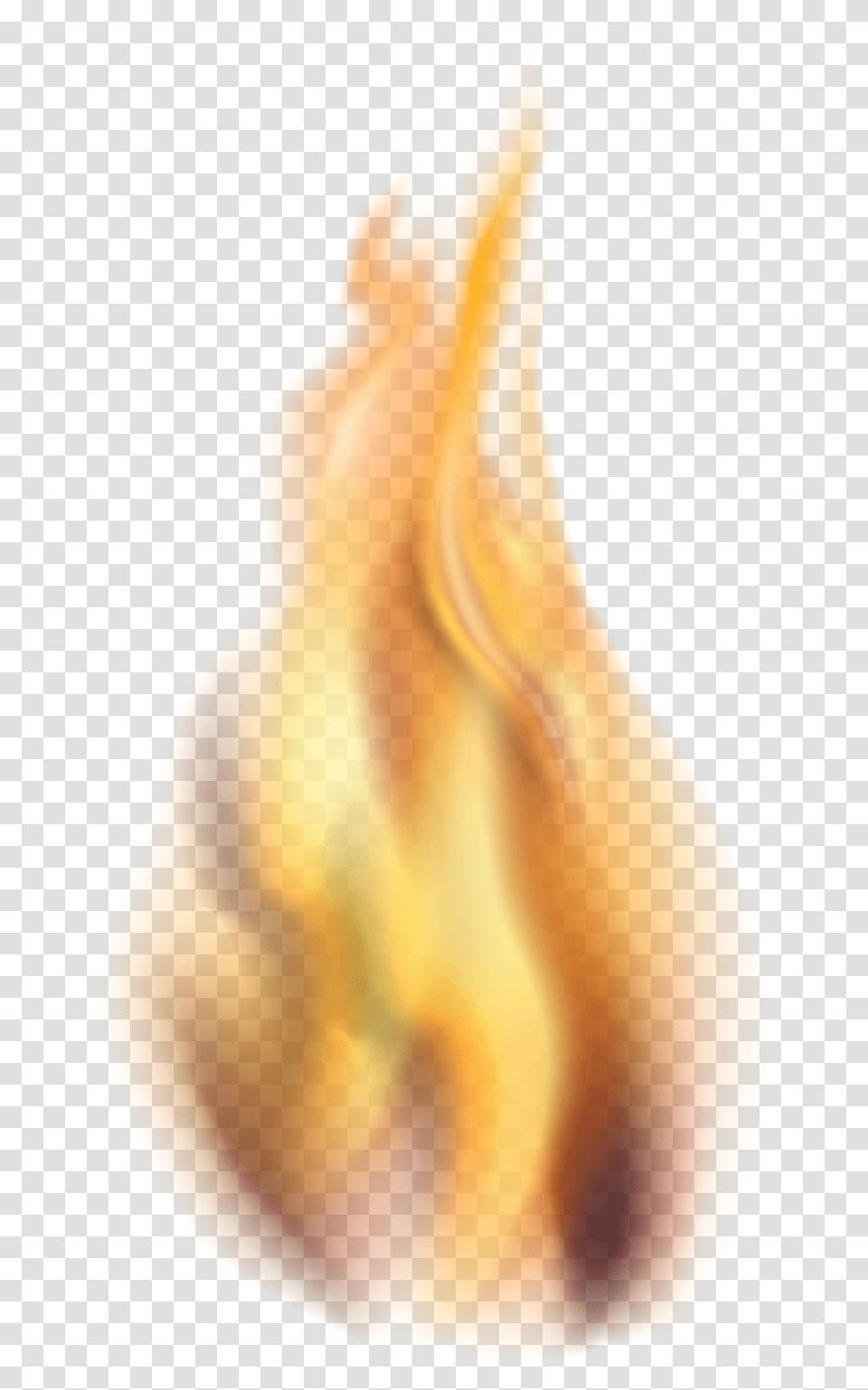 Background Fire, Plant, Flower, Blossom, Flame Transparent Png