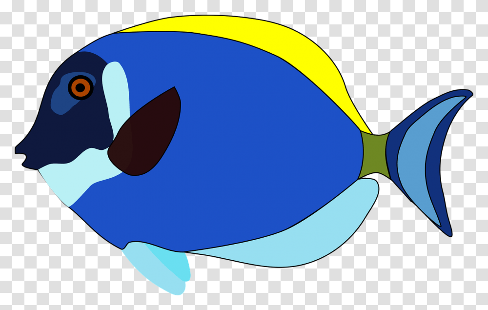 Background Fish Cartoon Images, Sea Life, Animal, Surgeonfish, Sunglasses Transparent Png