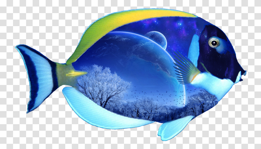 Background Fish Clipart Vector Royalty Sea Fish, Sea Life, Animal, Surgeonfish, Angelfish Transparent Png