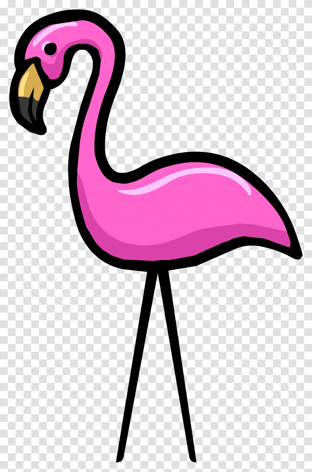 Background Flamingo, Animal, Bird, Beak Transparent Png