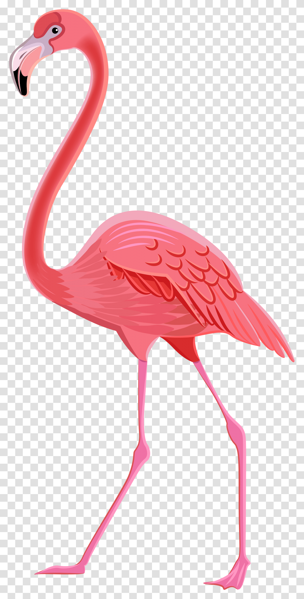 Background Flamingo Clipart Background Flamingo Clipart, Bird, Animal Transparent Png