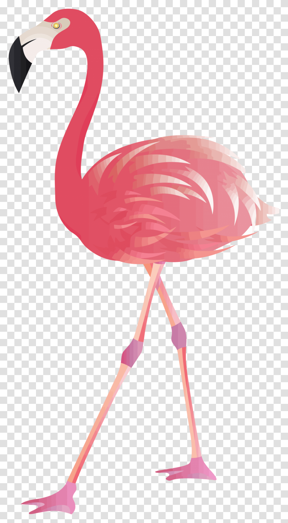 Background Flamingo Clipart, Lamp, Bird, Animal Transparent Png