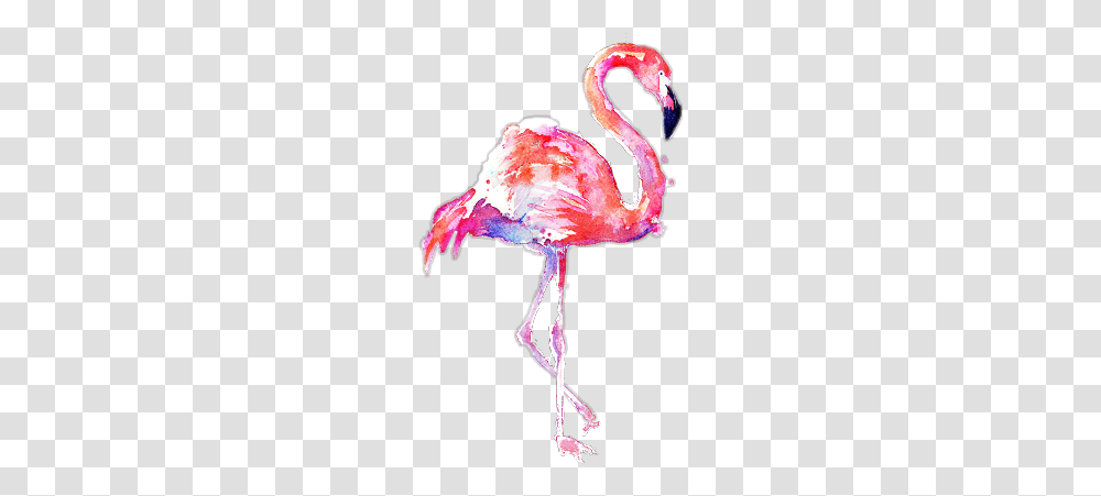 Background Flamingo Clipart, Sweets, Food, Icing, Cream Transparent Png