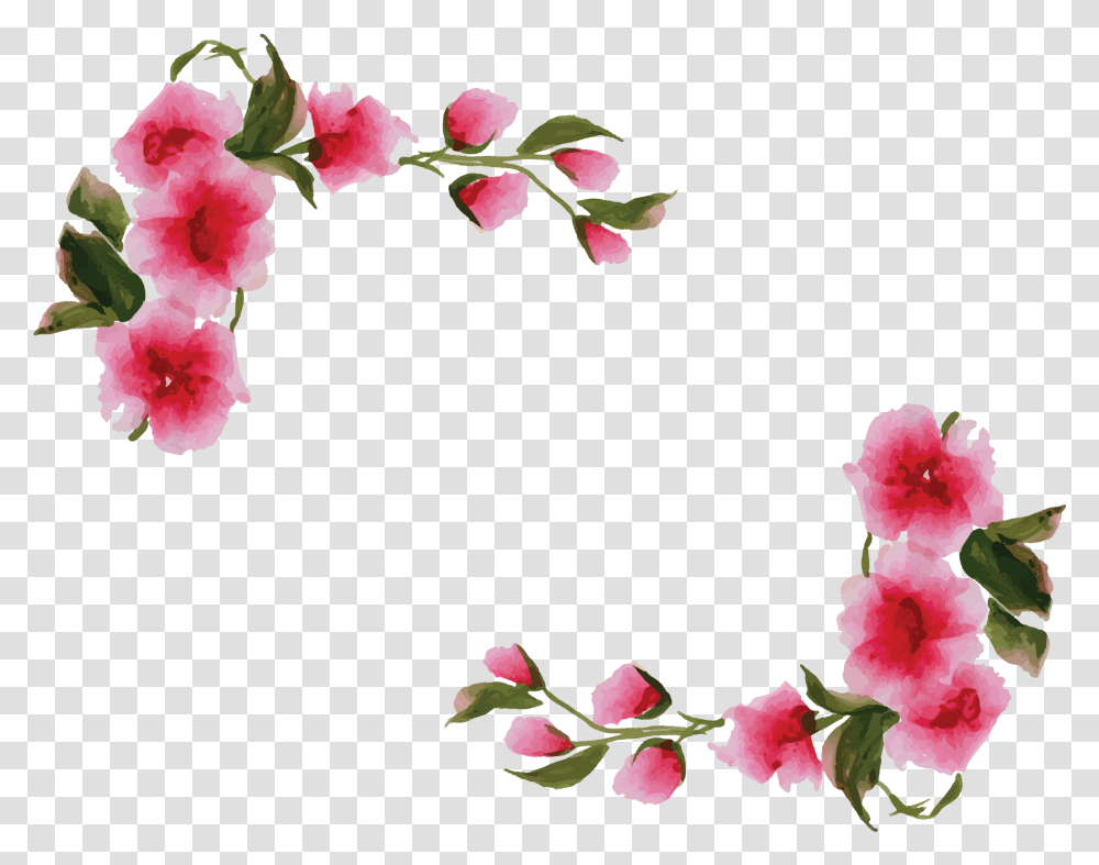 Background Floral Border, Plant, Flower, Blossom, Hibiscus Transparent Png