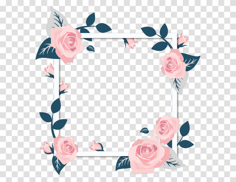 Background Flower Frame, Plant, Blossom, Rose, Person Transparent Png