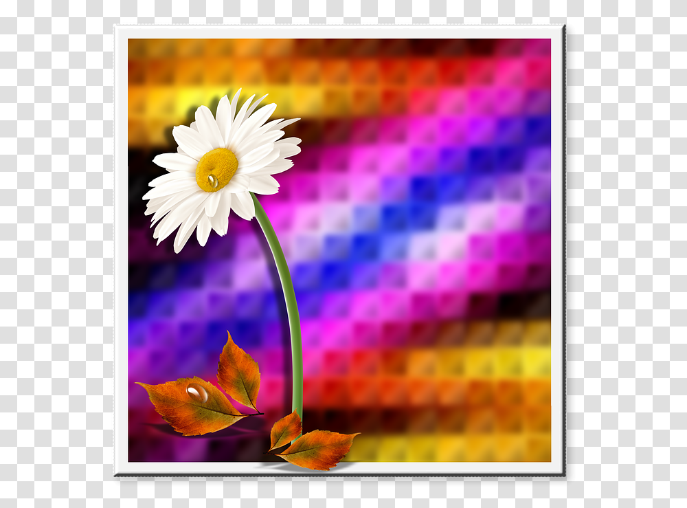 Background Flower Leaves Flowers Reason Design, Plant, Daisy, Daisies, Blossom Transparent Png