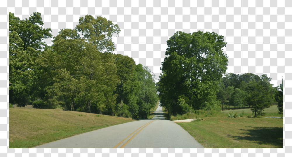 Background Forest, Road, Highway, Freeway, Tree Transparent Png