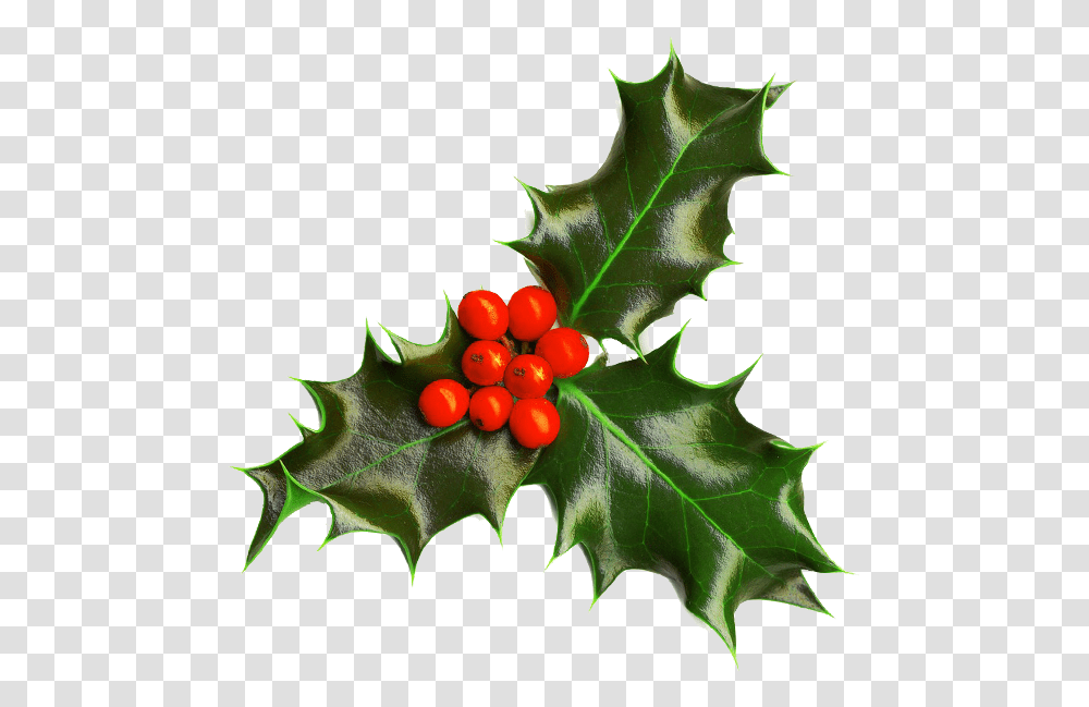 Background Free Images Christmas Holly Background, Leaf, Plant, Tree, Food Transparent Png