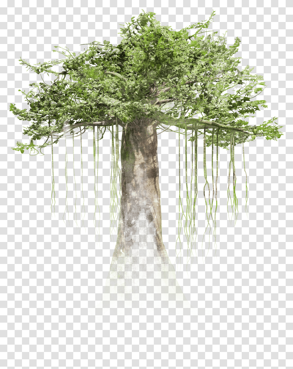 Background Free Mob Pc The Trees In Forest Transparent Png