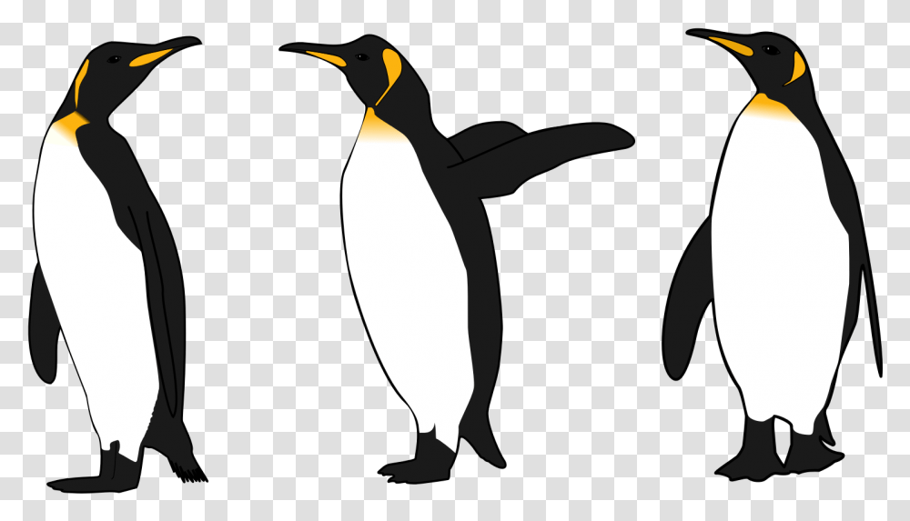 Background Free Penguin Clipart Penguins Clip Art, Bird, Animal, King Penguin Transparent Png