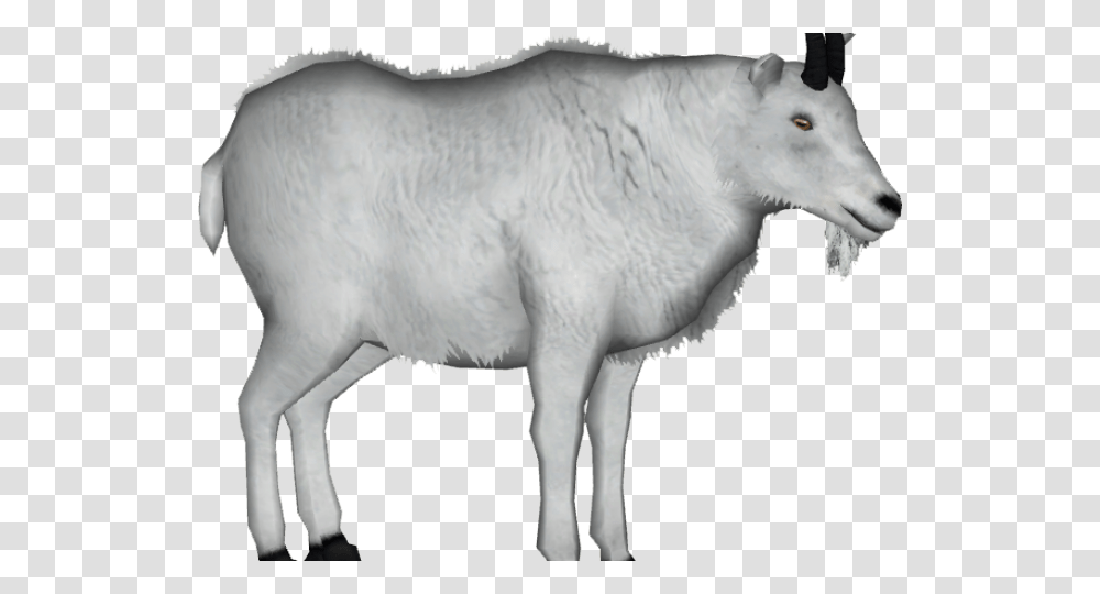 Background Goat Clipart, Mammal, Animal, Wildlife, Mountain Goat Transparent Png