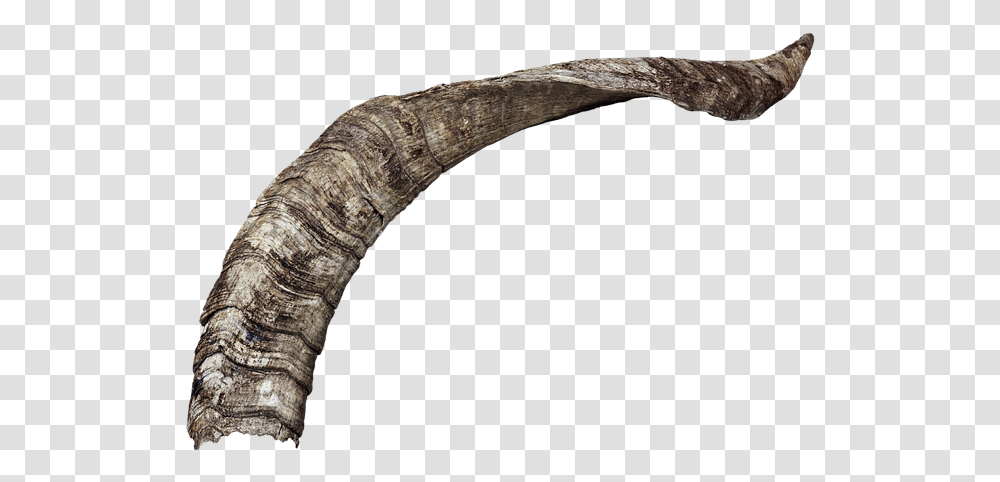 Background Goat Horn, Axe, Tool, Animal, Brass Section Transparent Png