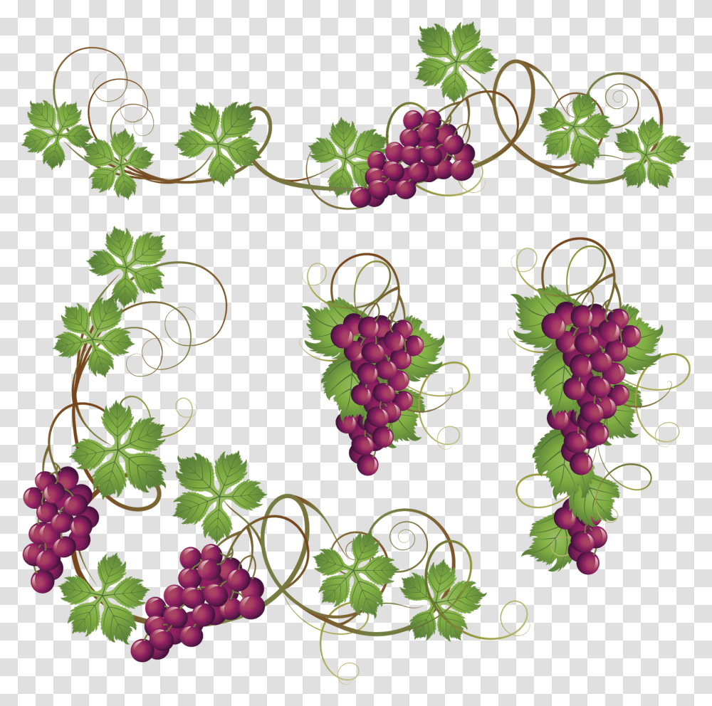 Background Grape Vine Clipart, Floral Design, Pattern, Plant Transparent Png