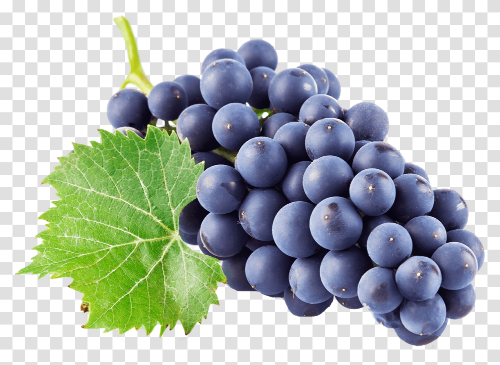 Background Grapes, Plant, Fruit, Food, Blueberry Transparent Png