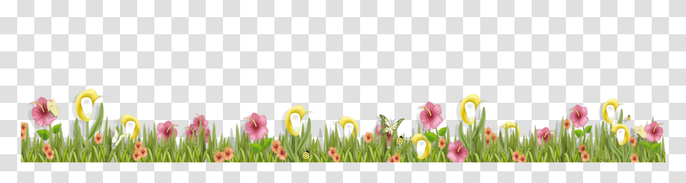 Background Grass And Flowers Clipart, Plant, Blossom, Iris, Petal Transparent Png