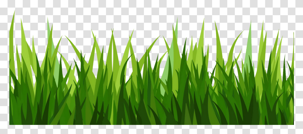 Background Grass Clipart, Plant, Lawn, Green, Leaf Transparent Png