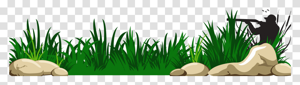 Background Grass Clipart, Plant, Vegetation, Outdoors, Green Transparent Png