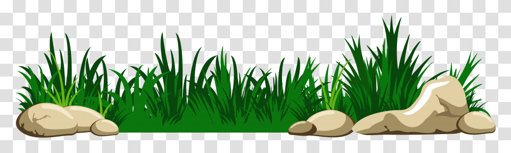 Background Grass Clipart, Plant, Vegetation, Outdoors, Green Transparent Png