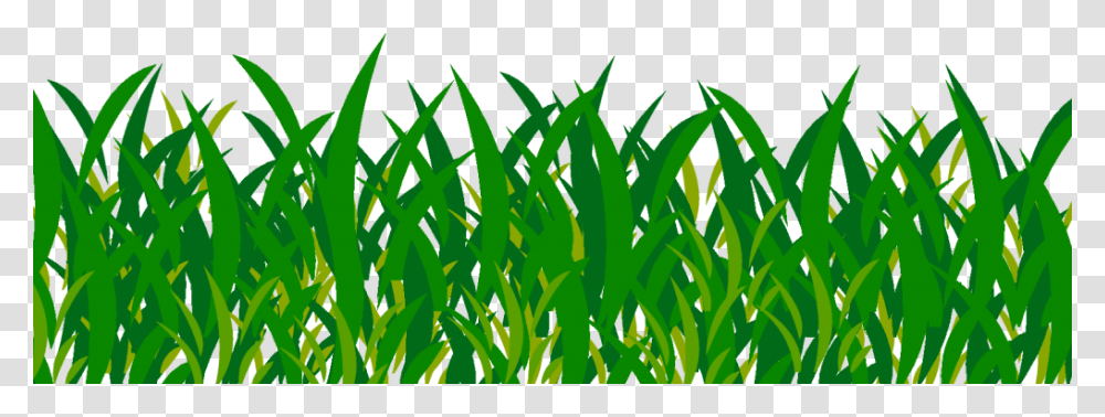 Background Grass Image, Plant, Lawn, Leaf, Green Transparent Png