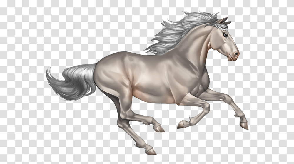 Background Horse Clipart, Mammal, Animal, Stallion, Andalusian Horse Transparent Png