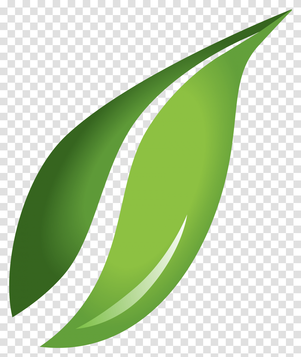 Background Hq Image Clipart Background Leaves, Plant, Banana, Fruit, Food Transparent Png