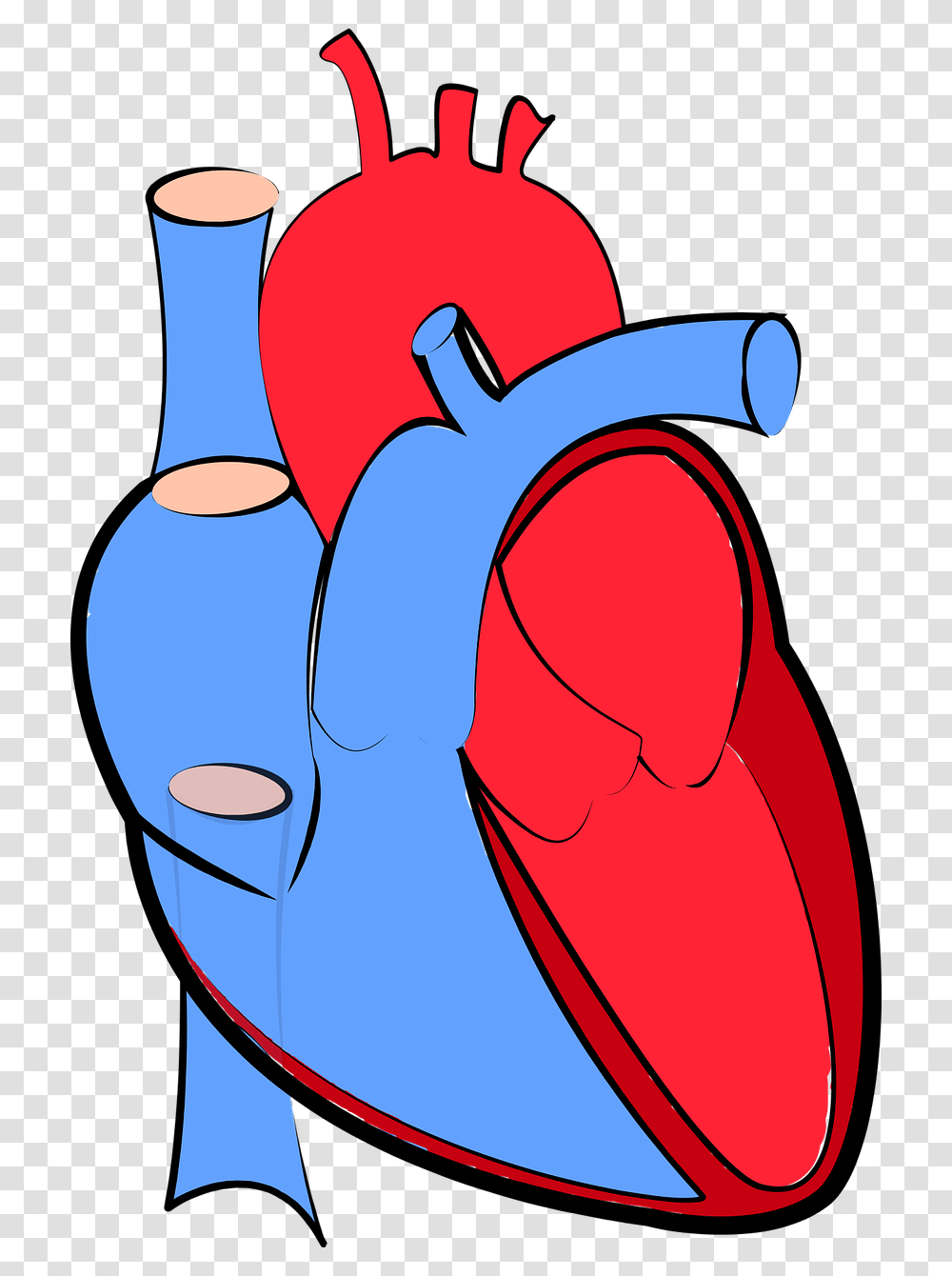 Background Human Heart, Apparel, Hand Transparent Png