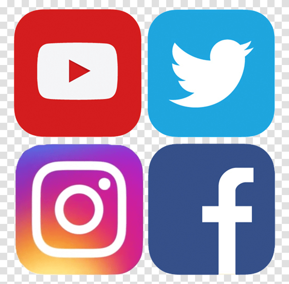 Background Instagram Logo, Bird, Animal, Cat Transparent Png