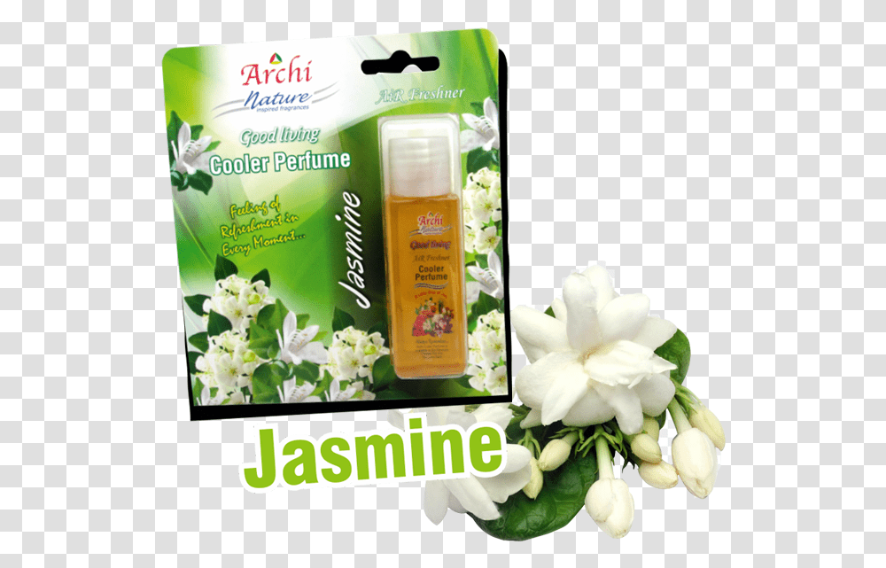 Background Jasmine Flower, Petal, Plant, Bottle, Outdoors Transparent Png