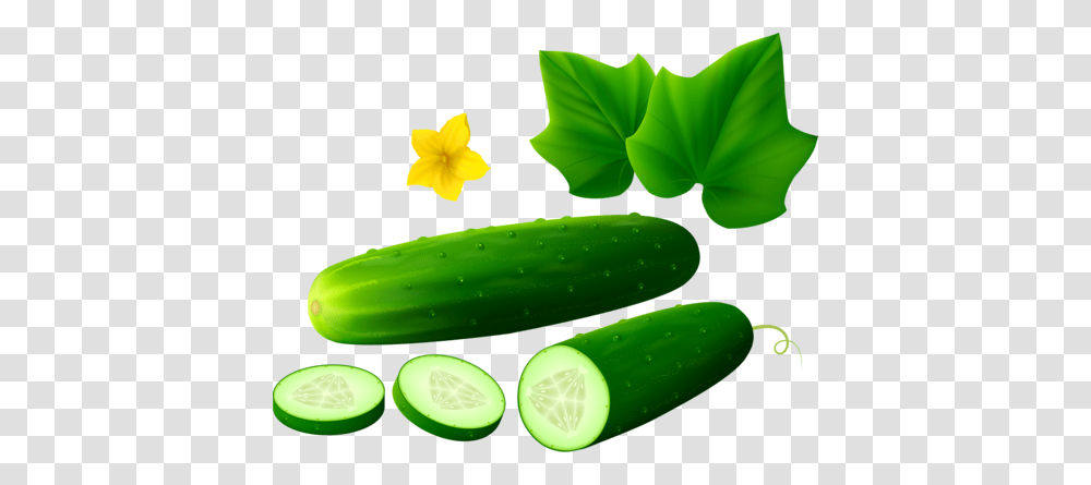 Background Lds Clipart Collection, Plant, Cucumber, Vegetable, Food Transparent Png