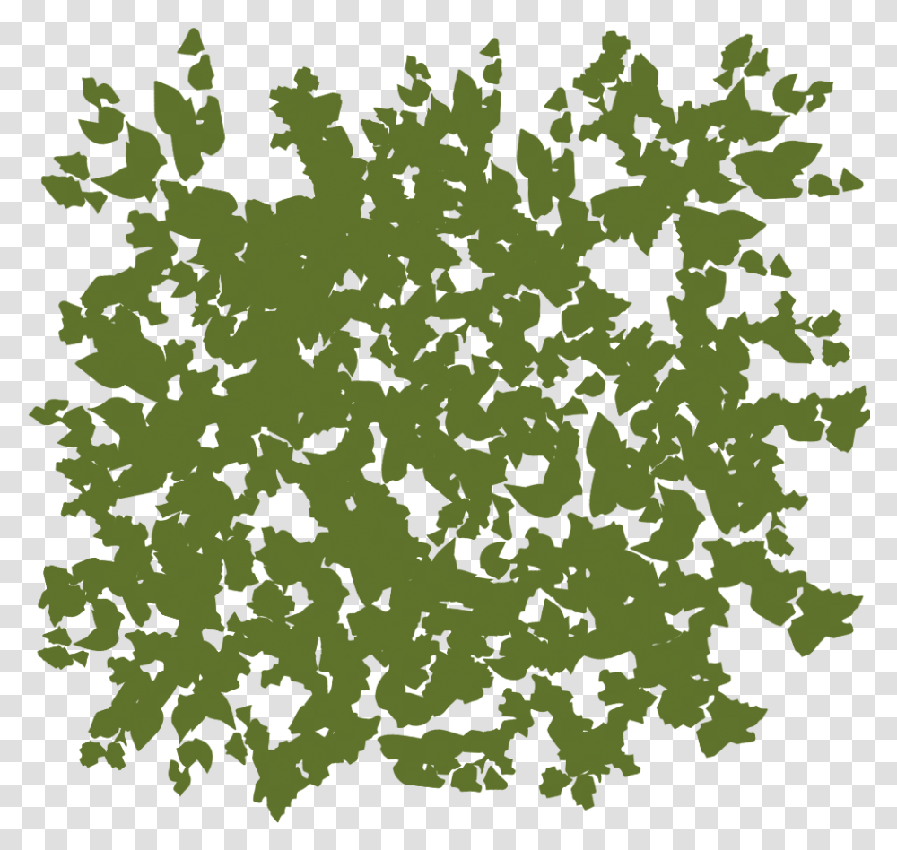 Текстура листвы прозрачная