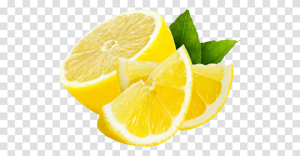 Background Lemon, Plant, Citrus Fruit, Food, Potted Plant Transparent Png