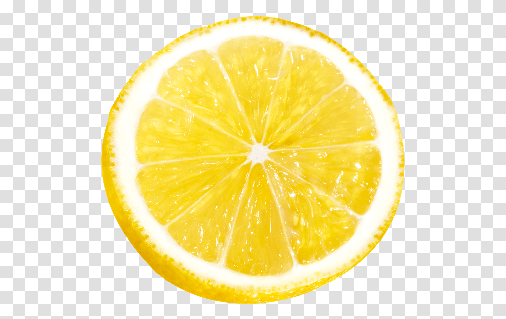 Background Lemon Slice, Orange, Citrus Fruit, Plant, Food Transparent Png