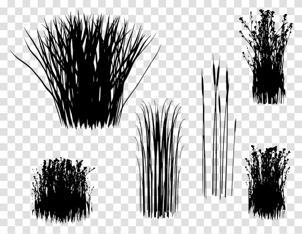 Background Long Grass, Gray, World Of Warcraft Transparent Png