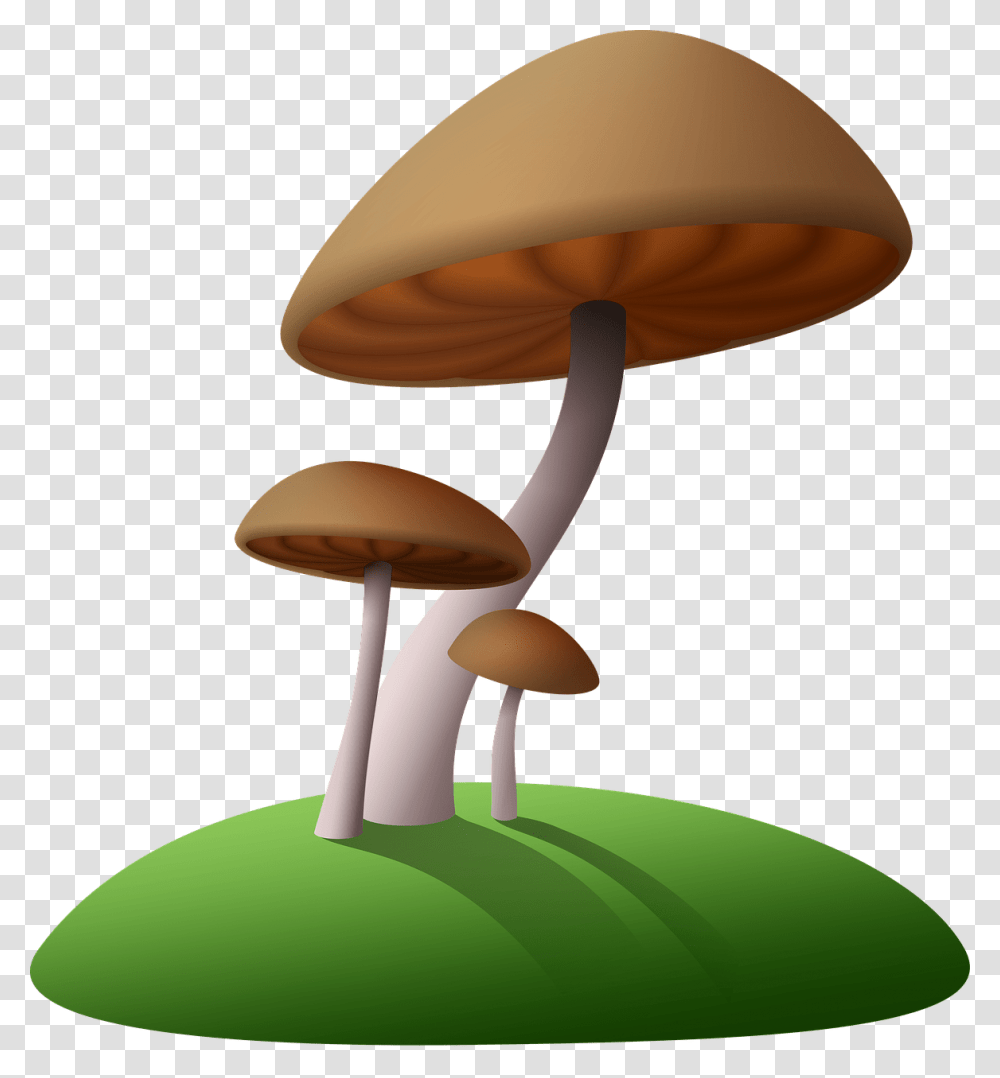 Background Mushroom Clipart, Plant, Lamp, Agaric, Fungus Transparent Png