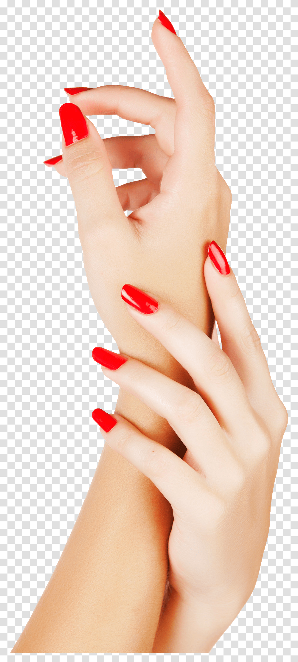 Background Nails, Person, Human, Manicure, Hand Transparent Png