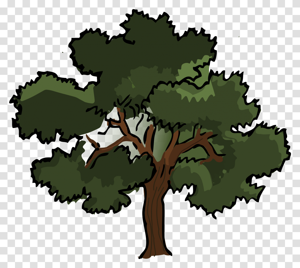 Background Oak Tree Clipart Oak Tree Cartoon, Plant, Vegetation, Nature, Outdoors Transparent Png