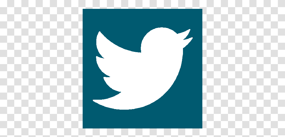 Background Official Twitter Logo, Shark, Fish, Animal Transparent Png