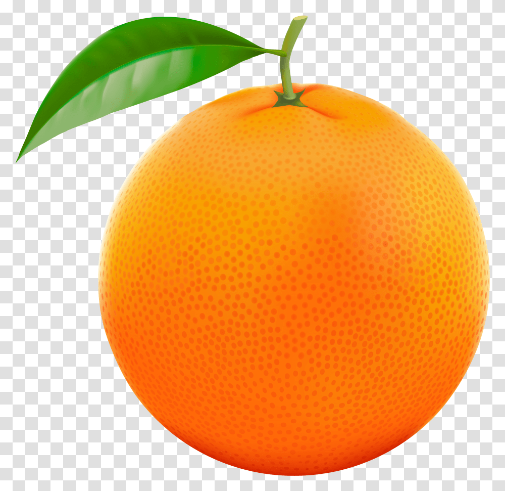 Background Orange Clipart, Citrus Fruit, Plant, Food, Grapefruit Transparent Png