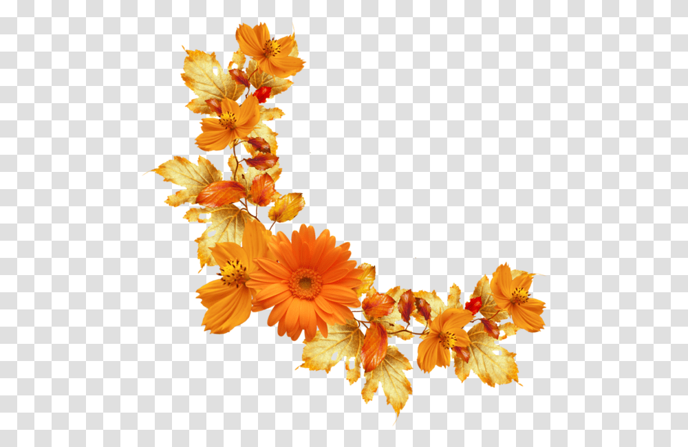 Background Orange Flower, Plant, Blossom, Flower Arrangement, Flower Bouquet Transparent Png