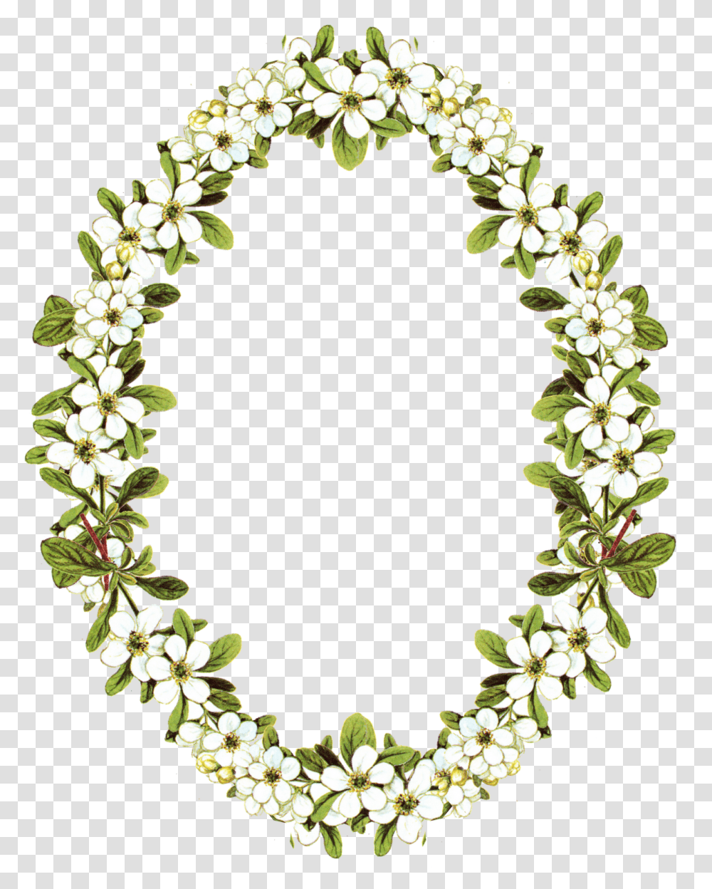 Background Oval Flower Frame, Wreath, Architecture, Building, Plant Transparent Png