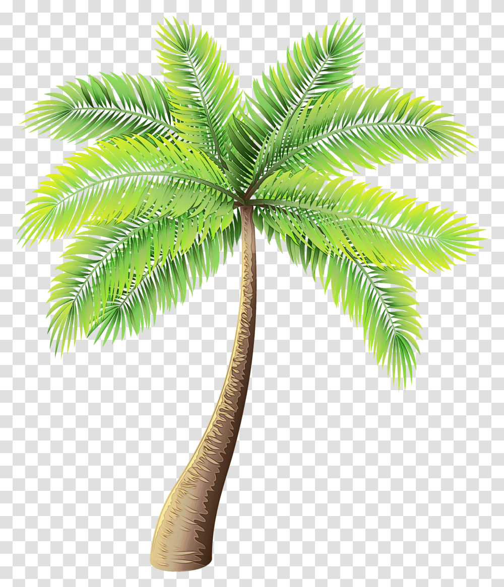 Background Palm Tree Clipart Palm Tree Transparent Png