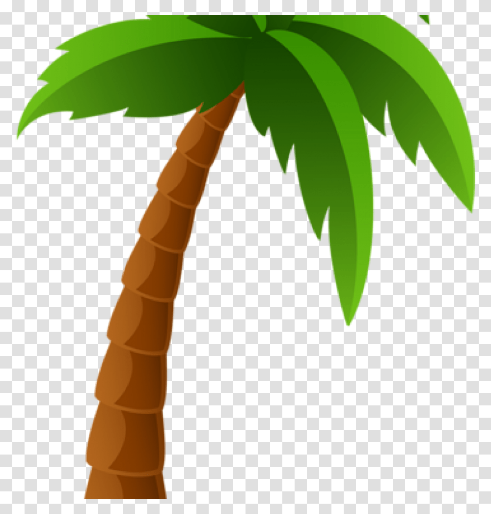 Background Palm Tree Emoji, Plant, Leaf, Arecaceae, Green Transparent Png