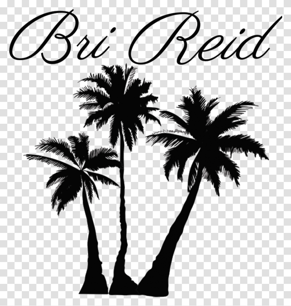 Background Palm Tree Silhouette Palm Tree Background, Plant, Arecaceae, Flower, Blossom Transparent Png