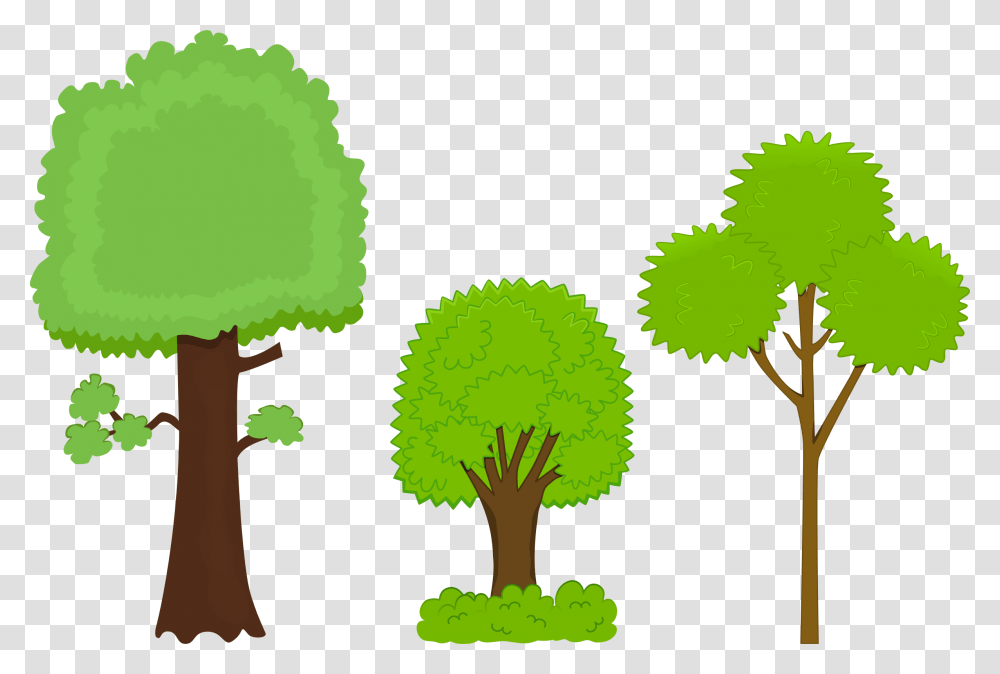 Background Park, Plant, Tree, Green, Palm Tree Transparent Png