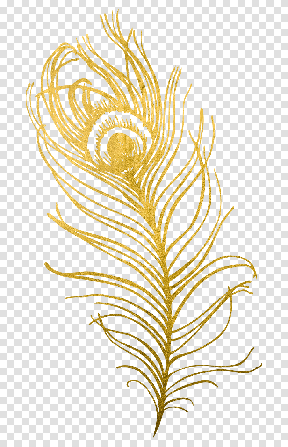 Background Peacock Gold Feather, Floral Design, Pattern Transparent Png