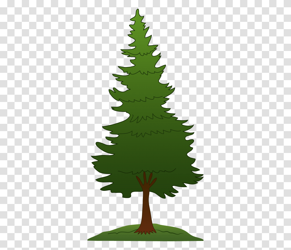 Background Pine Tree 20 Images Pine Tree Clipart, Plant, Ornament, Christmas Tree, Person Transparent Png