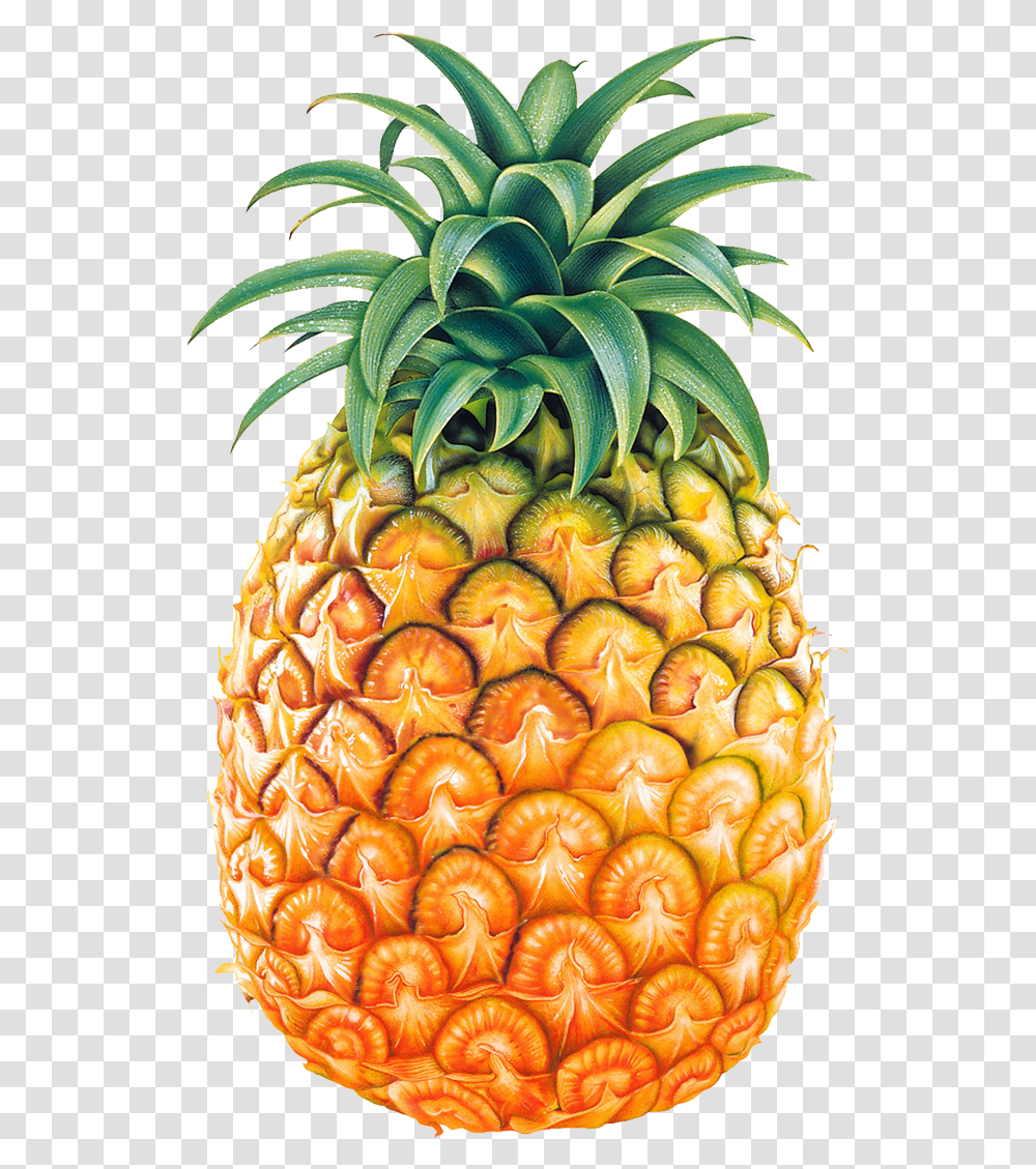 Background Pineapple, Fruit, Plant, Food Transparent Png