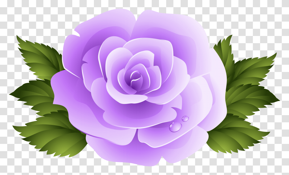 Background Pink Rose Clipart, Plant, Flower, Blossom, Dahlia Transparent Png