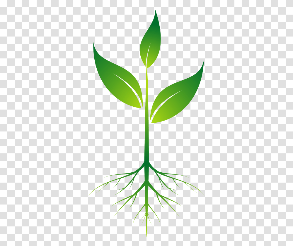 Background Plant Clipart, Leaf, Green, Flower, Blossom Transparent Png