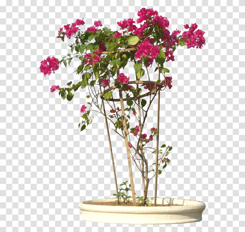 Background Plants Flowers, Ikebana, Art, Vase, Ornament Transparent Png